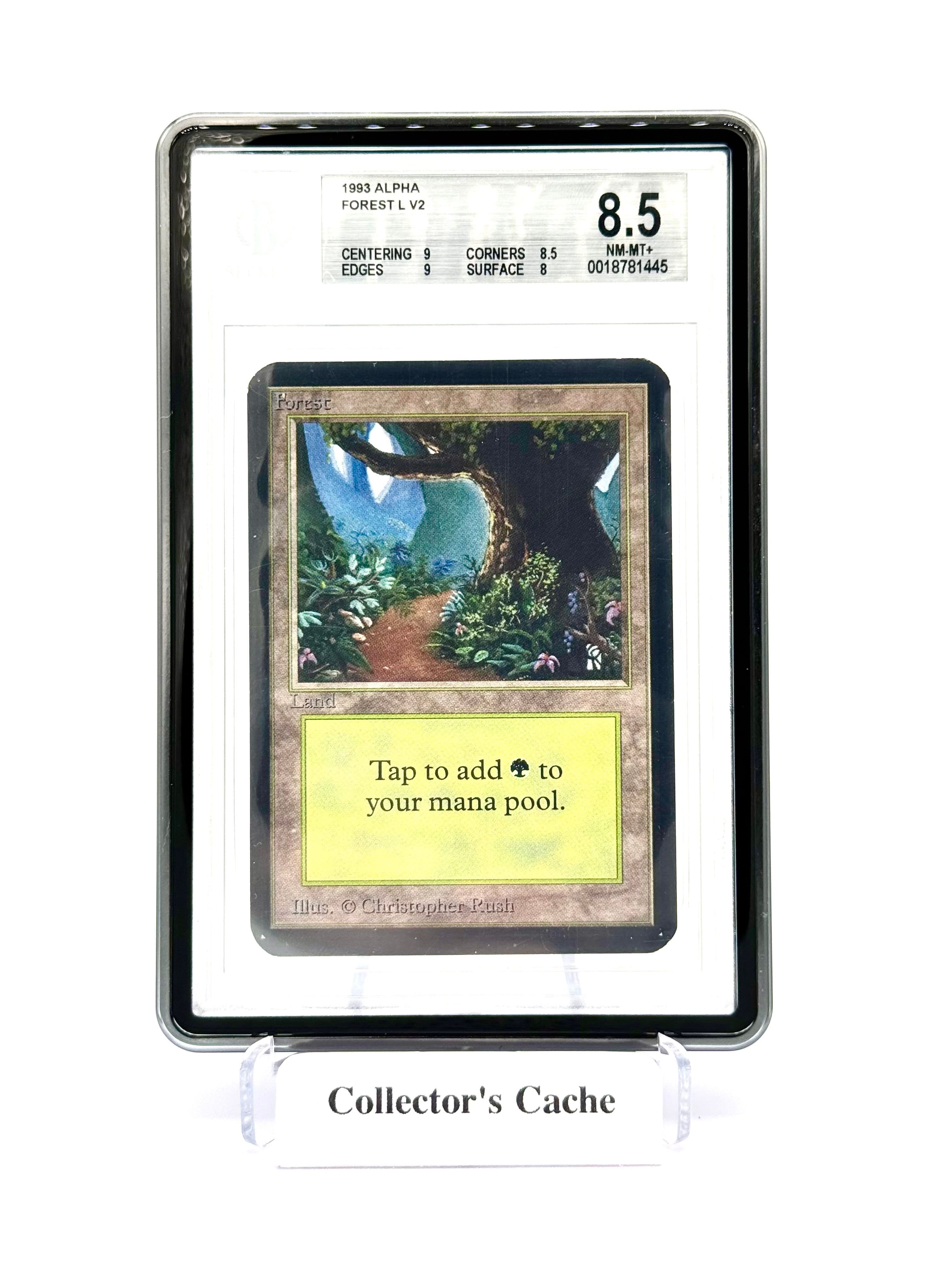 Collector's Cache MTG